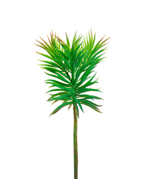 Spike Succulent Artificial Foliage Pick