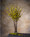 41" Forsythia Silk Flower Stem