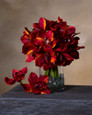 11" Artificial Cymbidium Orchid Flower Stem Burgundy Orange.