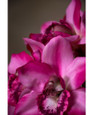 11" Artificial Cymbidium Orchid Flower Stem in Mauve