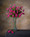 Pink Ranunculus Silk Flower Stem Spray