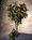 38" Round Laurel Artificial Foliage Stem