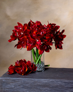 15" Cymbidium Orchid Faux Flower Stem