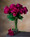 Beauty Peony Silk Flower Stem
