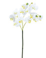 White Mini Phalaenopsis Orchid Artificial Foliage Stem