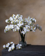 White Mini Phalaenopsis Orchid Artificial Foliage Stem