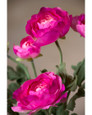 Dark Pink Fluffy Ranunculus Silk Flower Stem Spray