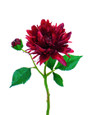 Red Dahlia Silk Flower Stem Spray