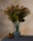 Faux Hypericum Bud Flower Stem Spray