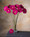 25" Silk Gerbera Daisy Faux Flower Stem  in Fuschia.