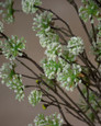 Cream-White Cornus Silk Flower Stem Spray