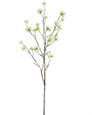 Cream-White Cornus Silk Flower Stem Spray