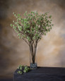 Cream-White Cornus Silk Flower Stem Spray
