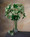 White Queen Anne Lace Faux Flower Stem Spray