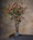 31" Rosehip Silk Flower Stem Spray