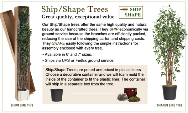 Ship-Shape Trees - great quality, exceptional value