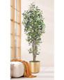 Greenhouse silk ficus tree by Petals.