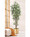 Greenhouse silk ficus tree by Petals.