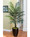 5' Silk Areca Palm Tree