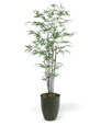 5' Silk Bamboo Tree, By Petals.