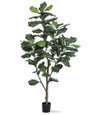 5' Single Trunk Fiddle Leaf Fig<br>Silk Tree