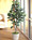 5' Single Trunk Fiddle Leaf Fig<br>Silk Tree