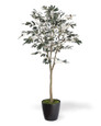 5' Silk Mediterranean Olive Tree