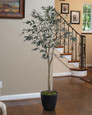 5' Silk Mediterranean Olive Tree