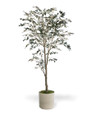 6' Silk Mediterranean Olive Tree