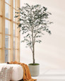 6' Silk Mediterranean Olive Tree