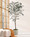 7' Silk Mediterranean Olive Tree